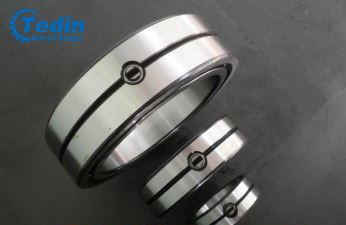 Cylindrical Roller Bearing SL01